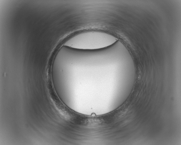 X0000076220636200609280922