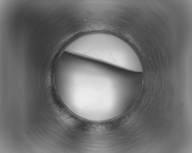 X0000076220640200609280922