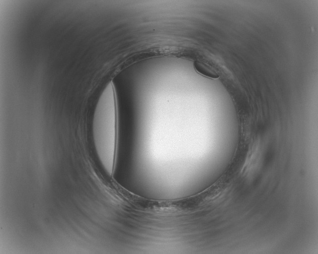 X0000076220645200609280922