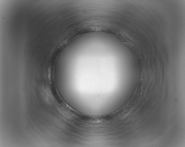 X0000076220646200609280922