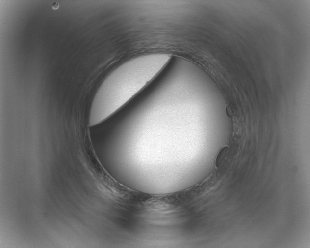 X0000076220648200609280922