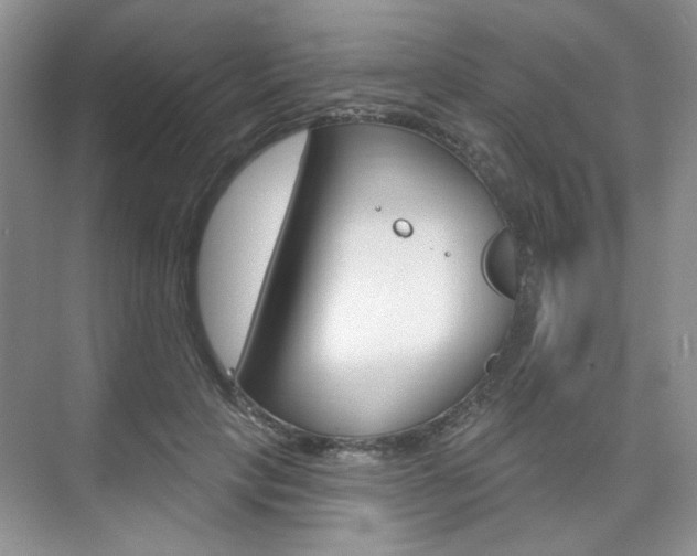 X0000076220649200609280923