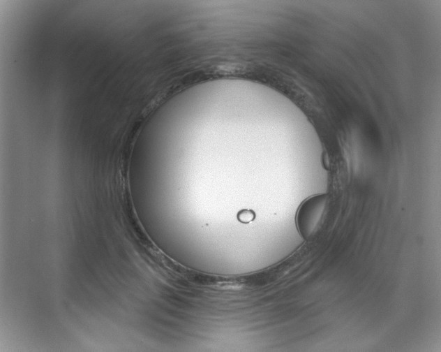 X0000076220651200609280923