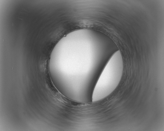 X0000076220652200609280923