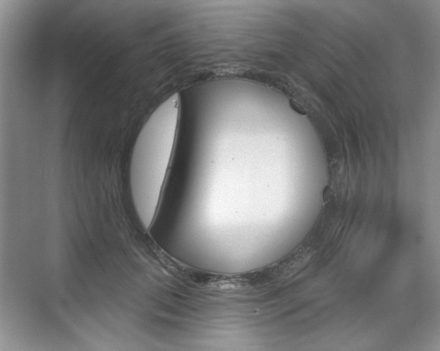 X0000076220655200609280923