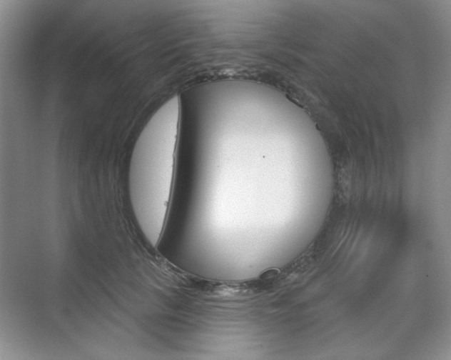 X0000076220657200609280923