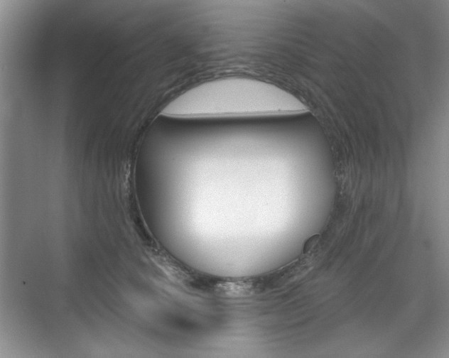 X0000076220660200609280923