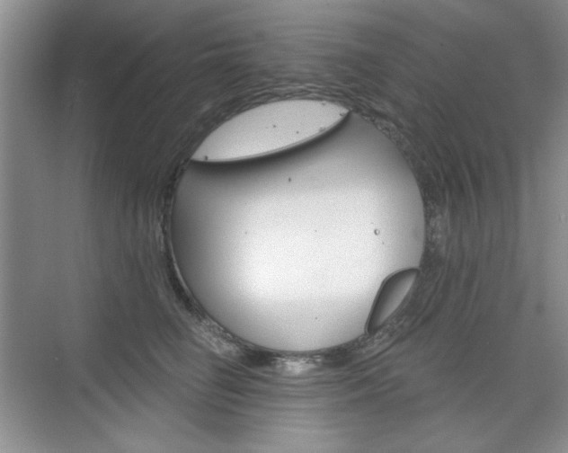 X0000076220662200609280923