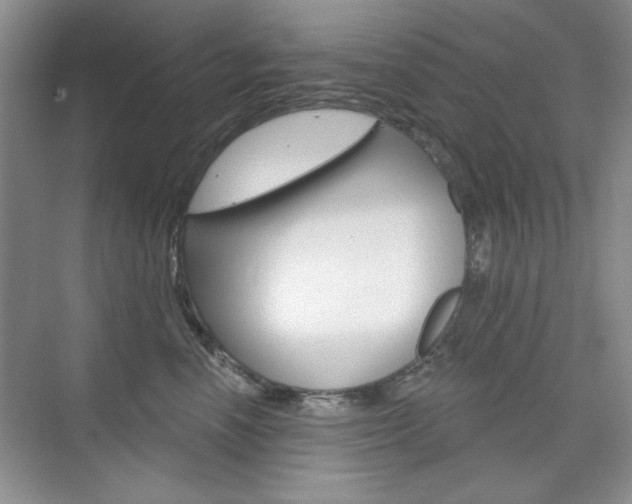 X0000076220666200609280923