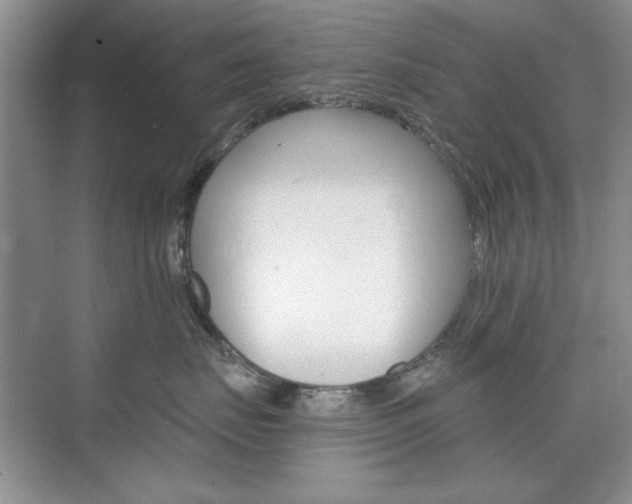 X0000076220671200609280923