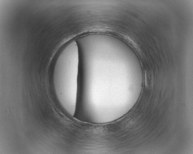 X0000076220675200609280922