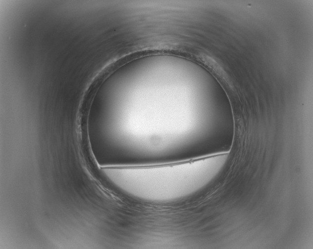 X0000076220676200609280922