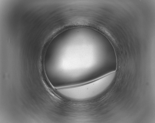 X0000076220677200609280922