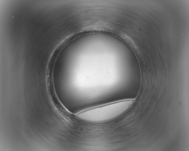 X0000076220680200609280922