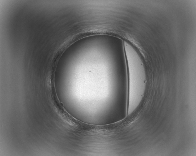 X0000076220681200609280922