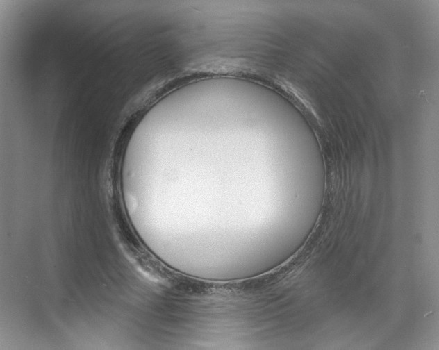 X0000076220682200609280922