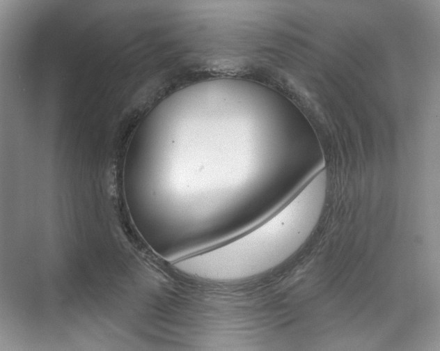 X0000076220689200609280922
