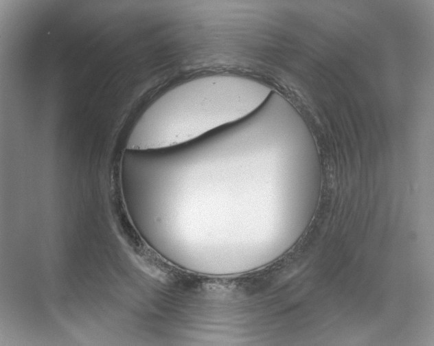 X0000076220690200609280922
