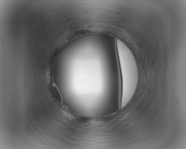 X0000076220697200609280922