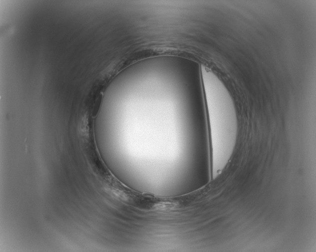 X0000076220700200609280922