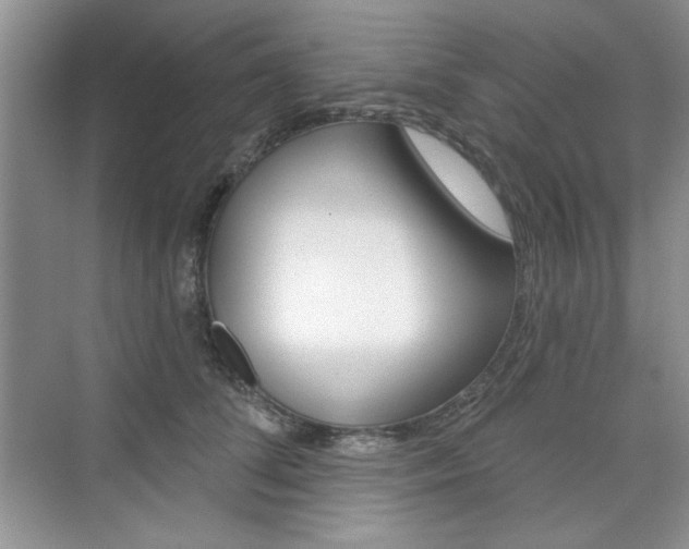 X0000076220708200609280921