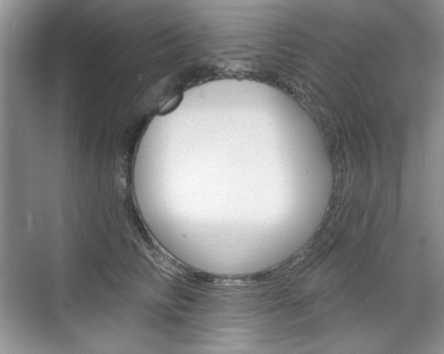 X0000076220710200609280921