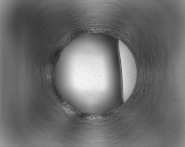 X0000076220712200609280921