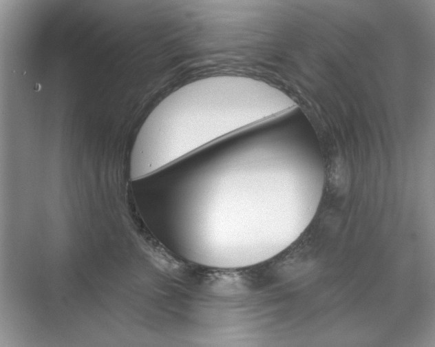 X0000076220715200609280921