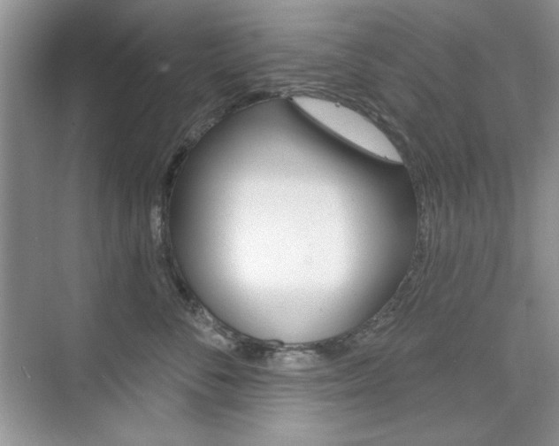 X0000076220716200609280921