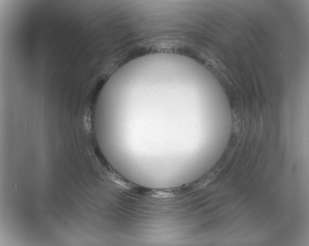 X0000076220718200609280921