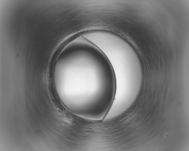 X0000076220724200609280921