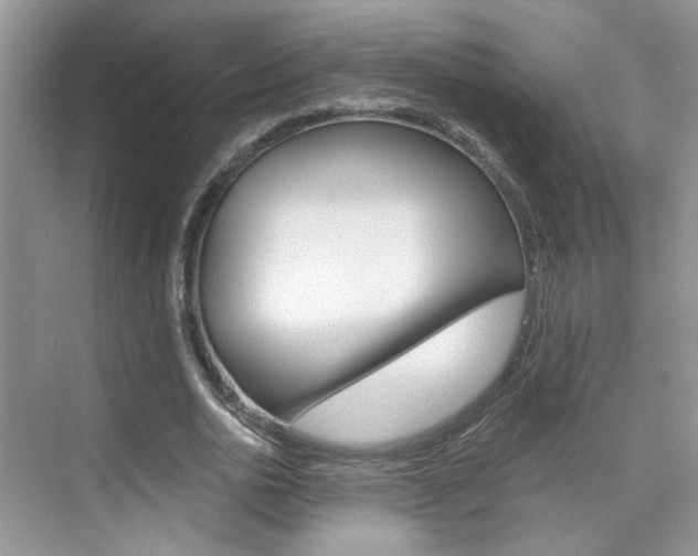 X0000076220726200609280921