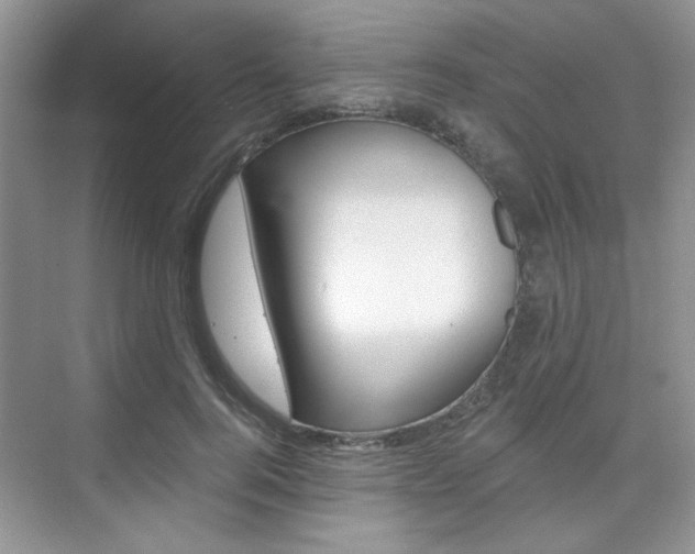 X0000076220744200609280921