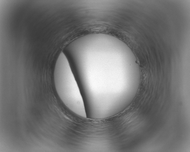X0000076220745200609280921