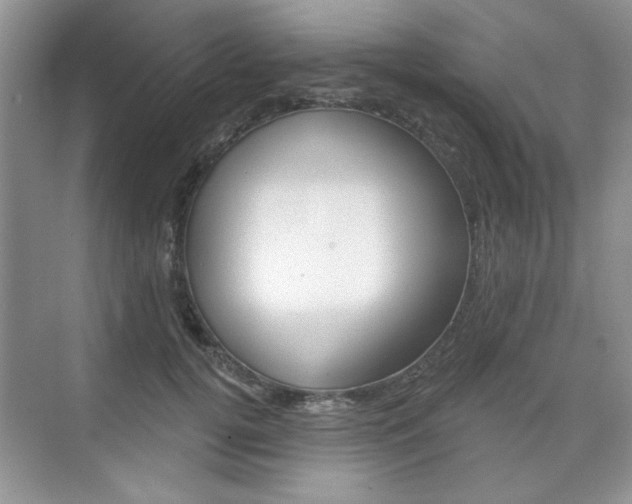 X0000076220752200609280921