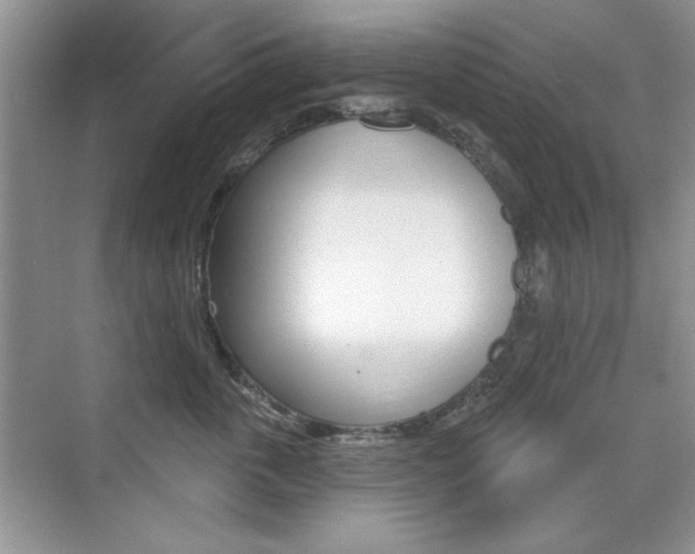X0000076220763200609280921