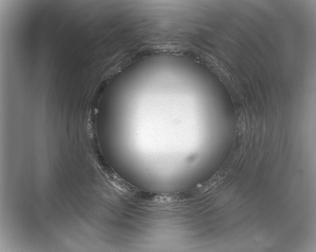 X0000076220764200609280921