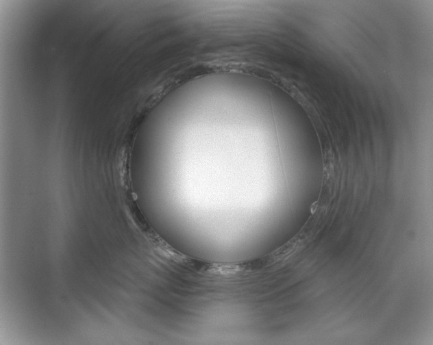X0000076220767200609280921