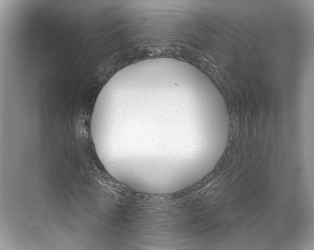 X0000076220770200609280920