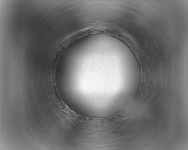 X0000076220773200609280920