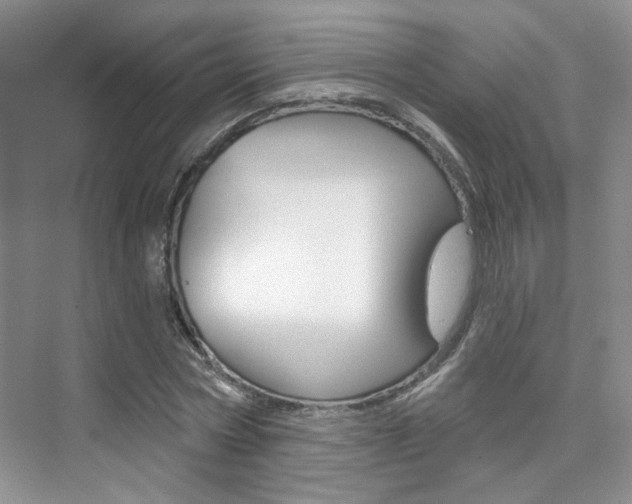 X0000076220778200609280920