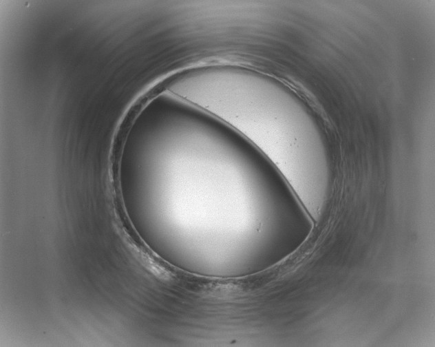 X0000076220784200609280920