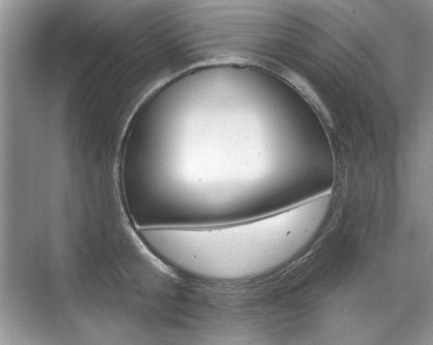 X0000076220805200609280920