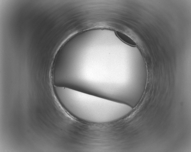 X0000076220806200609280920