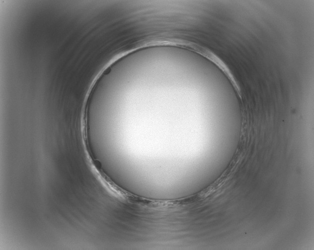 X0000076220811200609280920