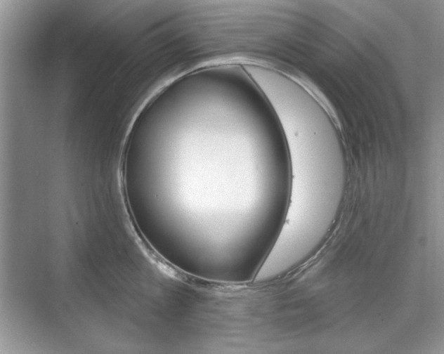 X0000076220813200609280920