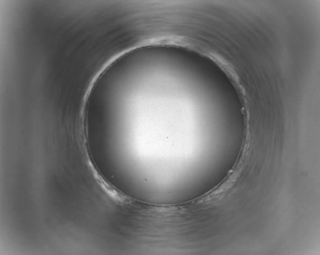 X0000076220816200609280920