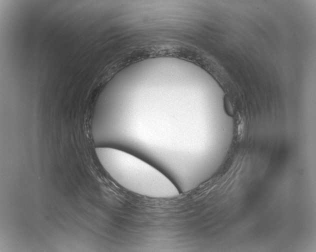 X0000076220819200609280919