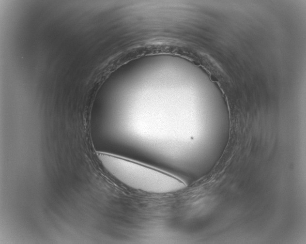 X0000076220821200609280919