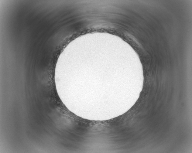 X0000076220824200609280919